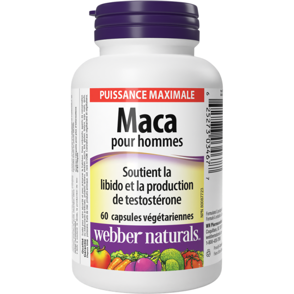 MACA pour hommes
